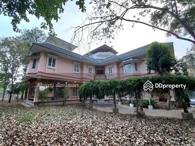 ขาย - จอมทอง เชียงใหม่, เชียงใหม่