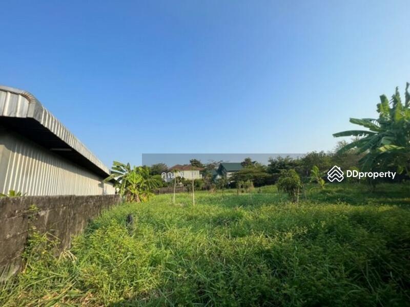 Land for Sale Panya Village Phathanakan-Onnuch 256 Spw, Bangkok, 1 พัฒนาการ 30, Suan Luang, Bangkok, , 1,024 sqm, Land For Sale, by ดลดากร ลลิตวรฉัตร, 10838019 - DDproperty.com
