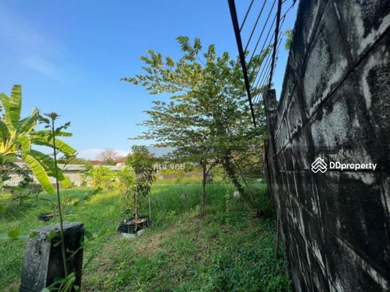 หมู่บ้านปัญญา พัฒนาการ 30, กรุงเทพ, 1 พัฒนาการ 30, สวนหลวง, กรุงเทพ, 1,024 ตร.ม., ที่ดิน ขาย, โดย ดลดากร ลลิตวรฉัตร, 10838019 - DDproperty.com