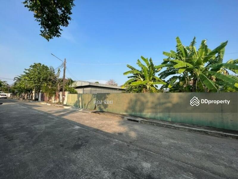 Land for Sale Panya Village Phathanakan-Onnuch 256 Spw, Bangkok, 1 พัฒนาการ 30, Suan Luang, Bangkok, , 1,024 sqm, Land For Sale, by ดลดากร ลลิตวรฉัตร, 10838019 - DDproperty.com