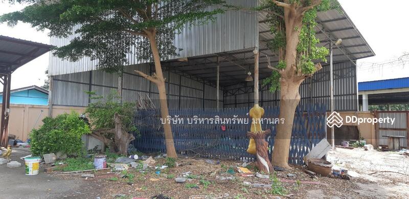 ขาย - บ้านเดี่ยว2ชั้น 217ตรว. อ.เมือง ราชบุรี (P3103699) ต่อรองได้, ราชบุรี