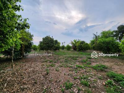 ขาย - ที่ดินหางดง, เชียงใหม่