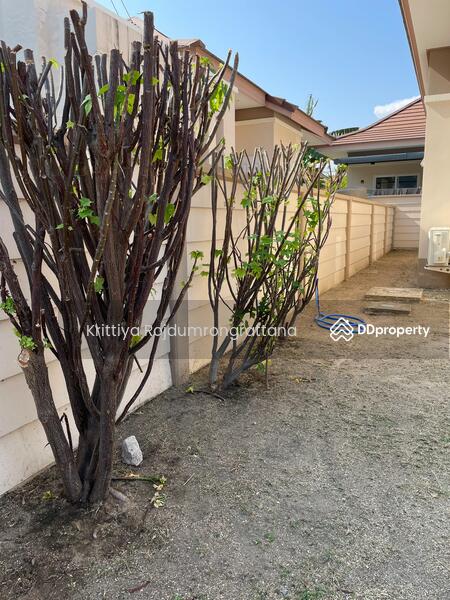 For Sale - The Palm Phala Beach, Rayong