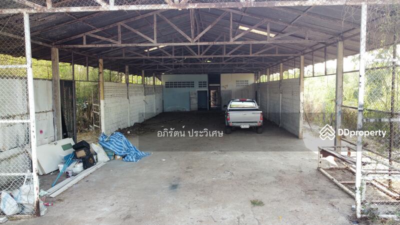 ขาย - หนองคาย, หนองคาย