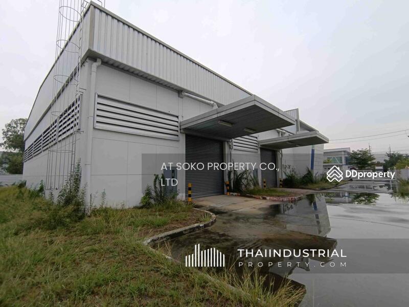 โกดังให้เช่า โรงงานให้เช่า 1329 ตรม หนองกะขะ, พานทอง, ชลบุรี/ 泰国仓库/工厂,出租/出售 (หมายเลขประกาศ: AT973R), ชลบุรี, หนองกะขะ, พานทอง, ชลบุรี, 1,329 ตร.ม., โกดัง-โรงงาน ให้เช่า, โดย AT SOKO PROPERTY CO., LTD, 10845501 - DDproperty.com