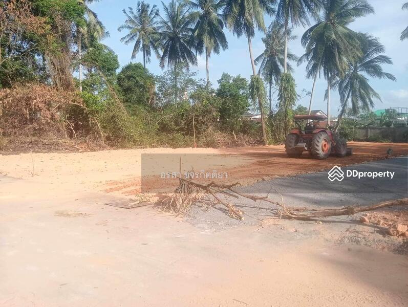 For Sale - ที่ดินราคาถูก ใกล้ ที่ว่าการอำเภอหนองจิก, Pattani