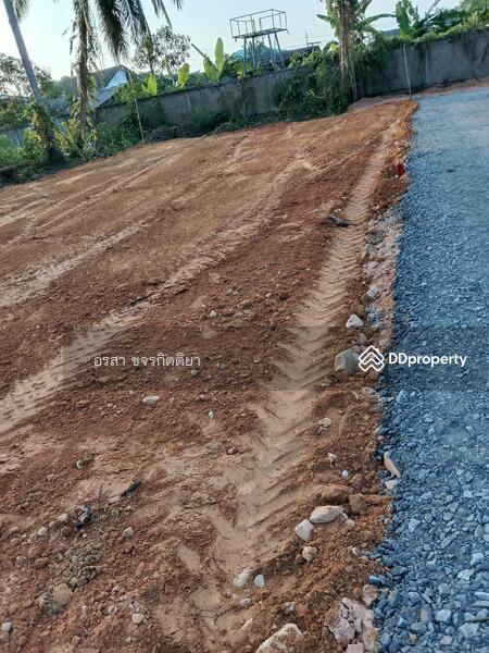 For Sale - ที่ดินราคาถูก ใกล้ ที่ว่าการอำเภอหนองจิก, Pattani