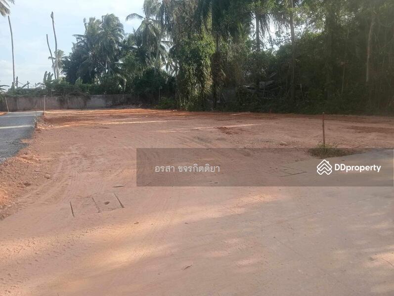 For Sale - ที่ดินราคาถูก ใกล้ ที่ว่าการอำเภอหนองจิก, Pattani
