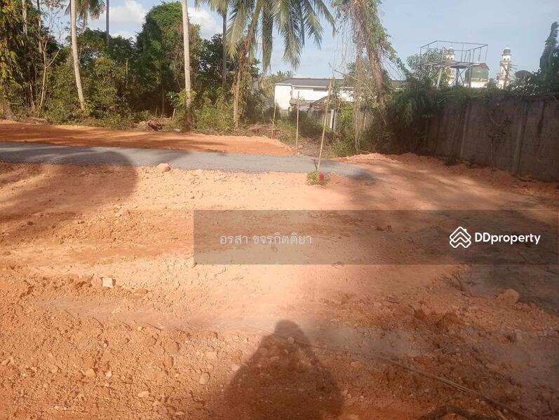 ขาย - ที่ดินราคาถูก ใกล้ ที่ว่าการอำเภอหนองจิก, ปัตตานี