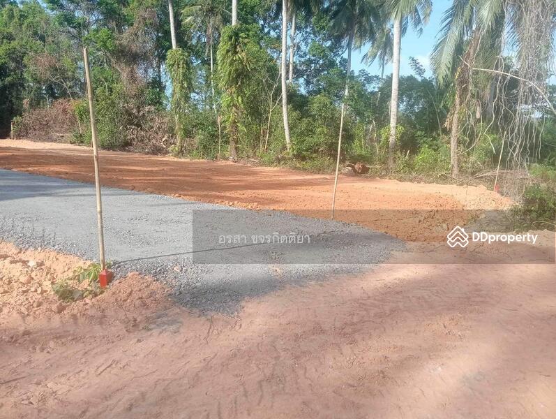 ขาย - ที่ดินราคาถูก ใกล้ ที่ว่าการอำเภอหนองจิก, ปัตตานี