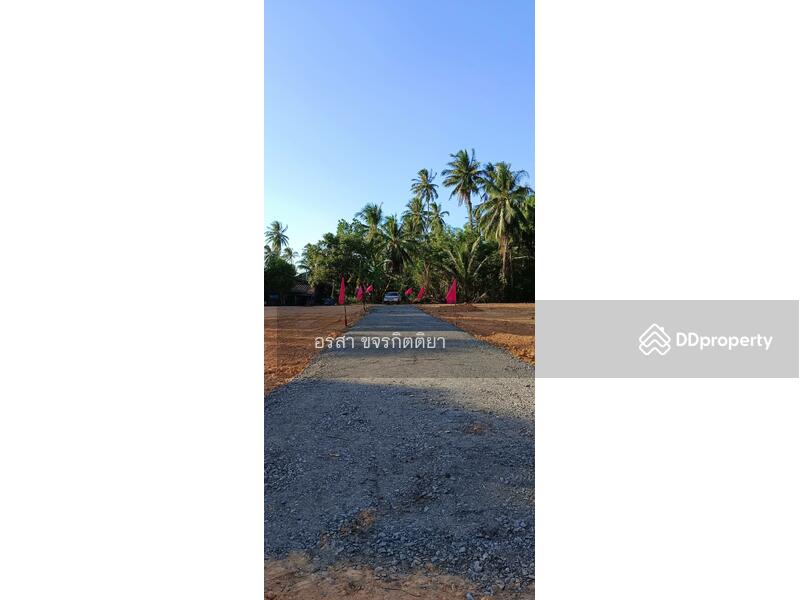 ขาย - ที่ดินราคาถูก ใกล้ ที่ว่าการอำเภอหนองจิก, ปัตตานี