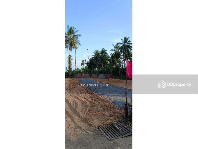 ขาย - ที่ดินราคาถูก ใกล้ ที่ว่าการอำเภอหนองจิก, ปัตตานี