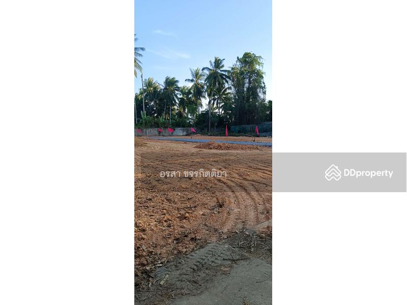 ขาย - ที่ดินราคาถูก ใกล้ ที่ว่าการอำเภอหนองจิก, ปัตตานี