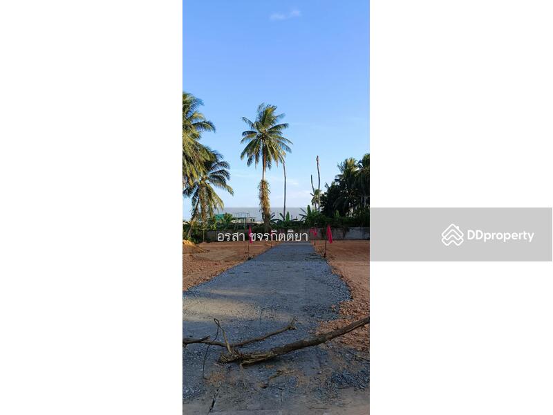 ขาย - ที่ดินราคาถูก ใกล้ ที่ว่าการอำเภอหนองจิก, ปัตตานี