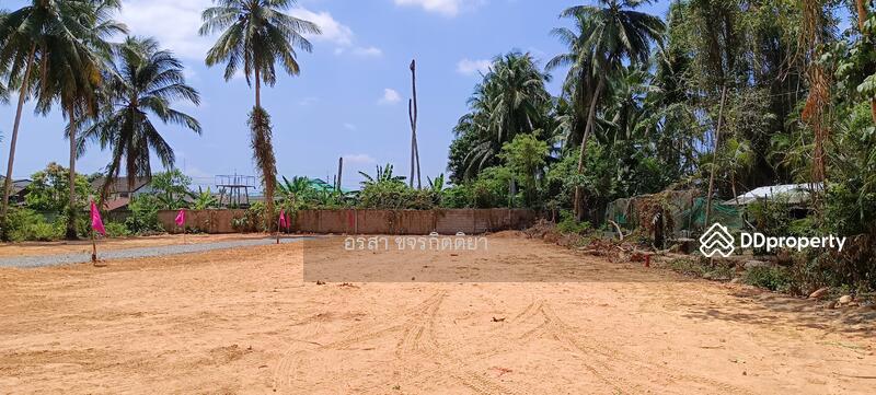 ขาย - ที่ดินราคาถูก ใกล้ ที่ว่าการอำเภอหนองจิก, ปัตตานี