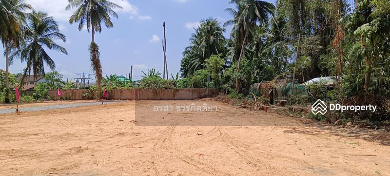 For Sale - ที่ดินราคาถูก ใกล้ ที่ว่าการอำเภอหนองจิก, Pattani