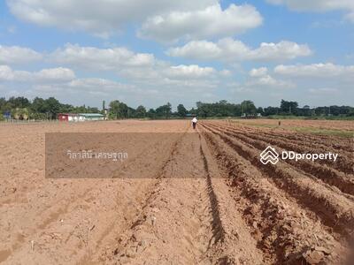ขาย - ที่ดิน 24 ไร่ จ.ชัยภูมิ ติดถนนใหญ่ 4 เลน กว้าง 20 เมตร, ชัยภูมิ