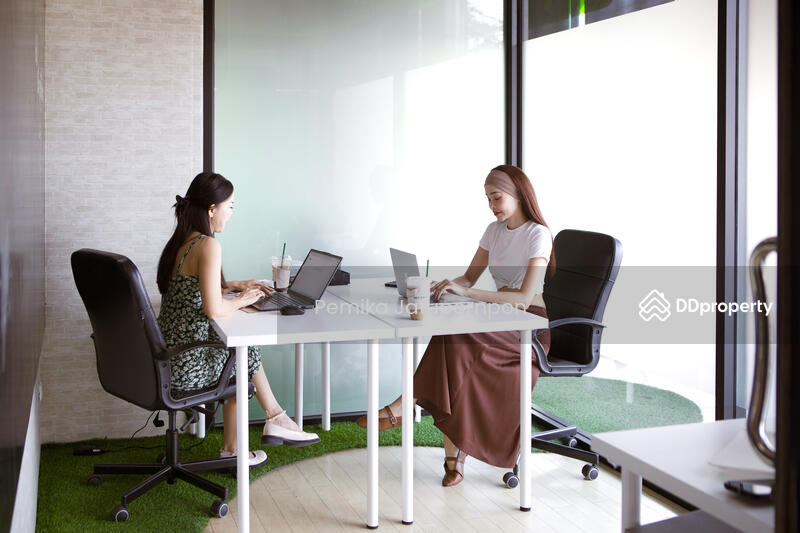 ให้เช่า - StarWork Chiangmai 87/9 ถนนทุ่งโฮเต็ล, เชียงใหม่