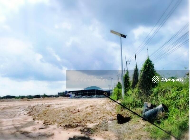 ขายที่ดิน แปลงสวย เหมาะจัดสรร สร้างหมู่บ้าน ทำเลทอง ไข่แดงใจกลางเมืองเชียงใหม่ ตรงข้าม บิ๊กโปรเจ๊ค, เชียงใหม่, 399 ถนน รอบเมืองเชียงใหม่, สันผีเสื้อ, เมืองเชียงใหม่, เชียงใหม่, 96,000 ตร.ม., ที่ดิน ขาย, โดย วนัสนันท์ เพ็ชรไทย, 10850126 - DDproperty.com