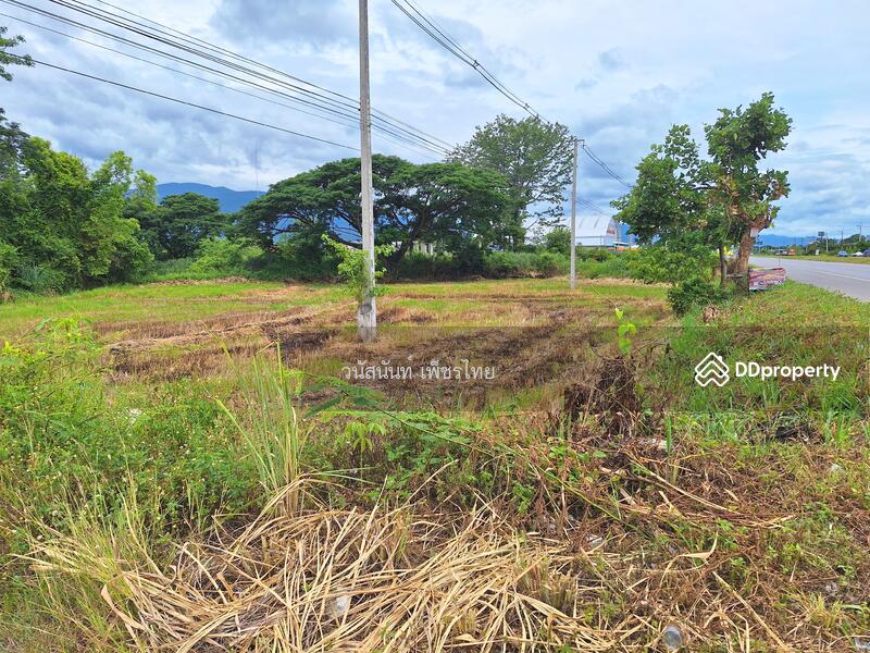 ขายที่ดิน แปลงสวย เหมาะจัดสรร สร้างหมู่บ้าน ทำเลทอง ไข่แดงใจกลางเมืองเชียงใหม่ ตรงข้าม บิ๊กโปรเจ๊ค, Chiang Mai, 399 ถนน รอบเมืองเชียงใหม่, San Phi Sua, Muang Chiang Mai, Chiang Mai, , 96,000 sqm, Land For Sale, by แอน เพ็ชรไทย, 10850126 - DDproperty.com