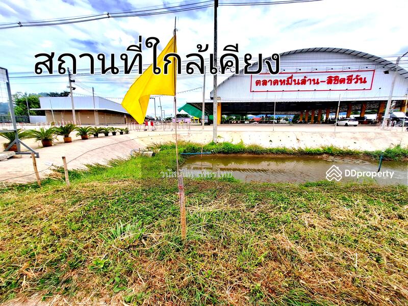 ขายที่ดิน แปลงสวย เหมาะจัดสรร สร้างหมู่บ้าน ทำเลทอง ไข่แดงใจกลางเมืองเชียงใหม่ ตรงข้าม บิ๊กโปรเจ๊ค, Chiang Mai, 399 ถนน รอบเมืองเชียงใหม่, San Phi Sua, Muang Chiang Mai, Chiang Mai, , 96,000 sqm, Land For Sale, by แอน เพ็ชรไทย, 10850126 - DDproperty.com