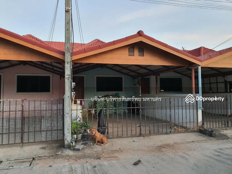 3 units of town house in Thatoom, Surin, Surin, Tha Tum, Tha Tum, Surin, 2 Bedrooms, 120 sqm, Townhouse For Sale, by Nopadon Iamimsamran, 10853901 - DDproperty.com