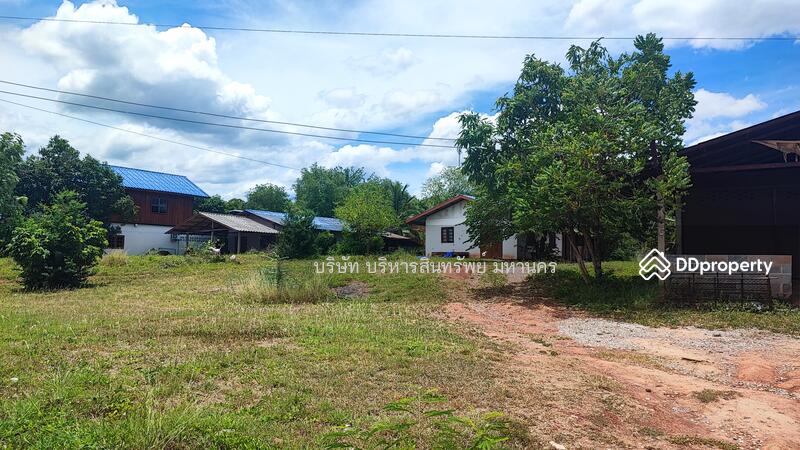 For Sale - Land 156.3 Sqw. Bo Pho Nakhon Thai Phitsanulok., Phitsanulok