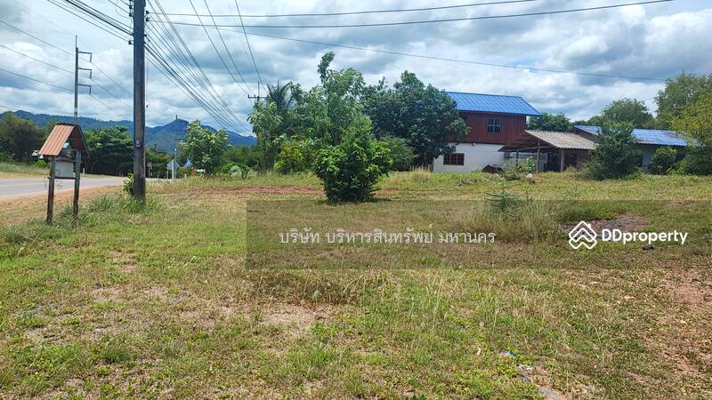 For Sale - Land 156.3 Sqw. Bo Pho Nakhon Thai Phitsanulok., Phitsanulok