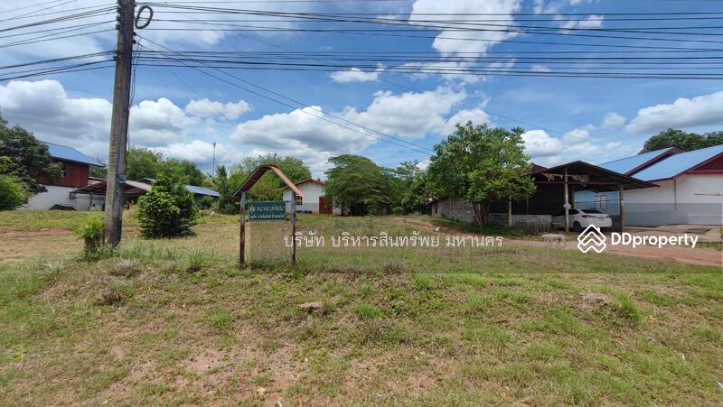 For Sale - Land 156.3 Sqw. Bo Pho Nakhon Thai Phitsanulok., Phitsanulok