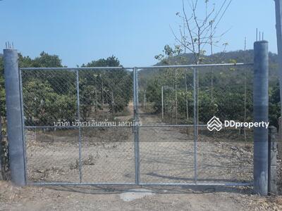 ขาย - 51000 ที่ดินว่างเปล่า 5-3-65ไร่ มะเขือแจ้ง อ.เมือง ลำพูน (P3104205), ลำพูน