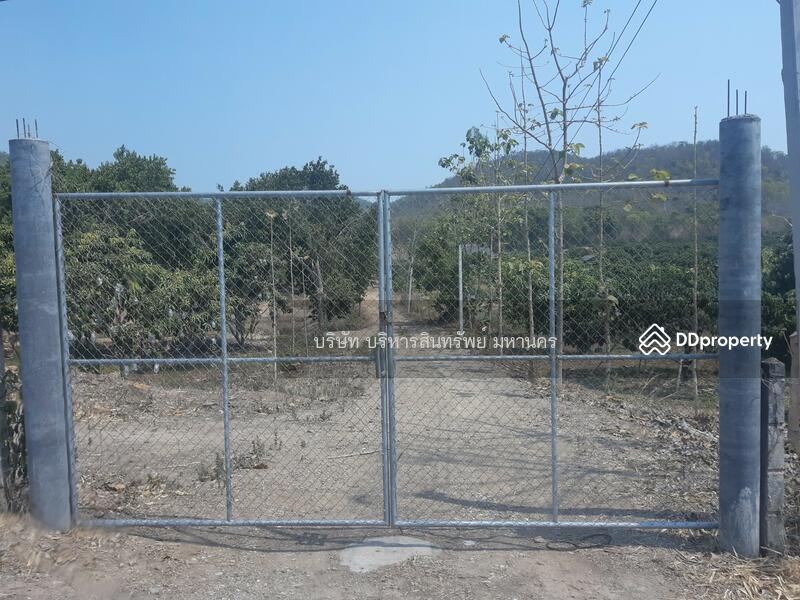ขาย - 51000 ที่ดินว่างเปล่า 5-3-65ไร่ มะเขือแจ้ง อ.เมือง ลำพูน (P3104205), ลำพูน