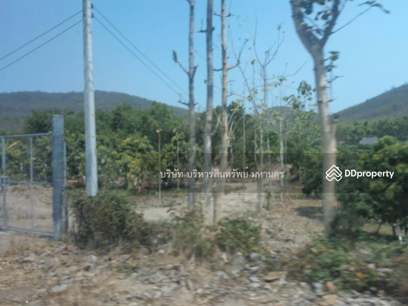 ขาย - 51000 ที่ดินว่างเปล่า 5-3-65ไร่ มะเขือแจ้ง อ.เมือง ลำพูน (P3104205), ลำพูน