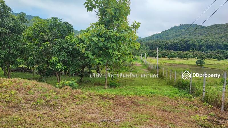 ขาย - 51000 ที่ดินว่างเปล่า 5-3-65ไร่ มะเขือแจ้ง อ.เมือง ลำพูน (P3104205), ลำพูน