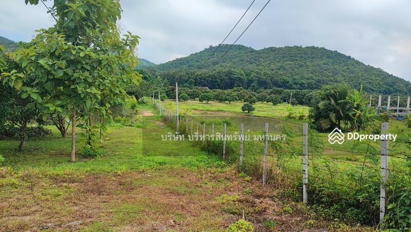 ขาย - 51000 ที่ดินว่างเปล่า 5-3-65ไร่ มะเขือแจ้ง อ.เมือง ลำพูน (P3104205), ลำพูน