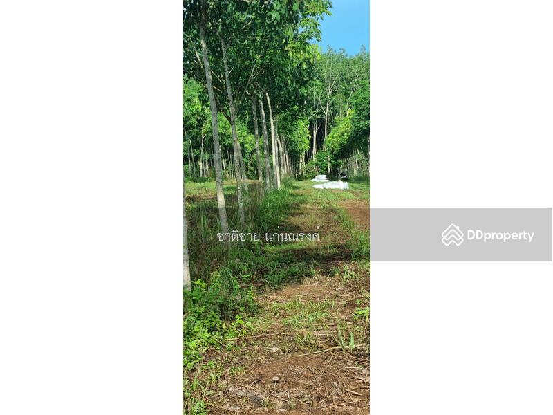 วังกระแจะ ตราด, Trat, Wang Krachae, Muang Trat, Trat, , 66,418 sqm, Land For Sale, by Chartchai Kaennarong, 10854369 - DDproperty.com