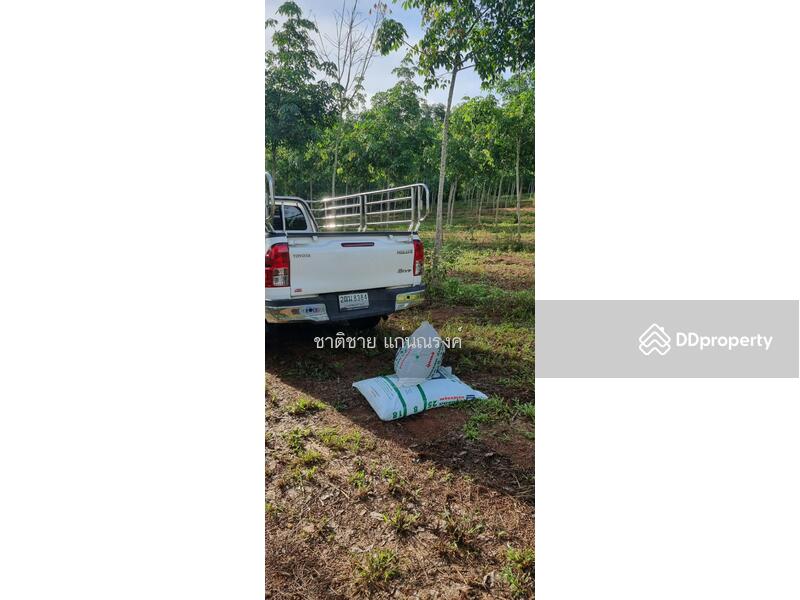 วังกระแจะ ตราด, Trat, Wang Krachae, Muang Trat, Trat, , 66,418 sqm, Land For Sale, by Chartchai Kaennarong, 10854369 - DDproperty.com