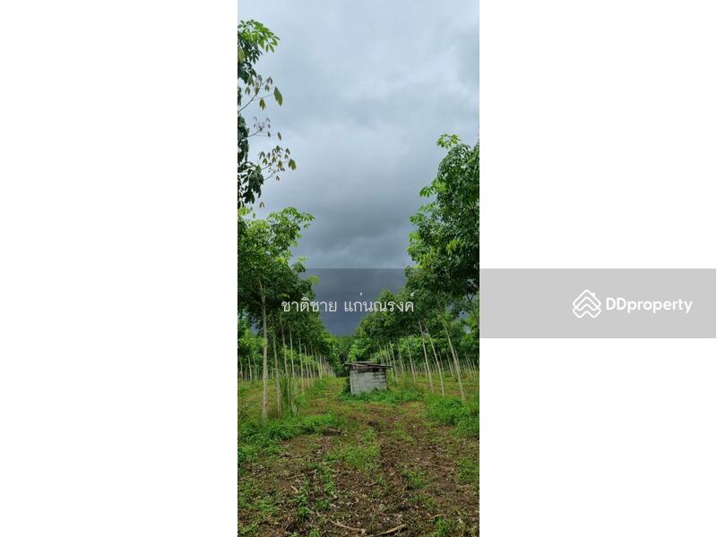 วังกระแจะ ตราด, Trat, Wang Krachae, Muang Trat, Trat, , 66,418 sqm, Land For Sale, by Chartchai Kaennarong, 10854369 - DDproperty.com