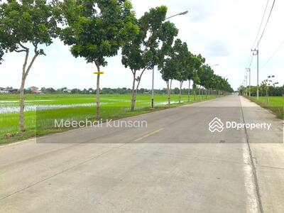 ขาย - ที่ดิน 50 ไร่ ลำลูกกาคลอง 6, ปทุมธานี