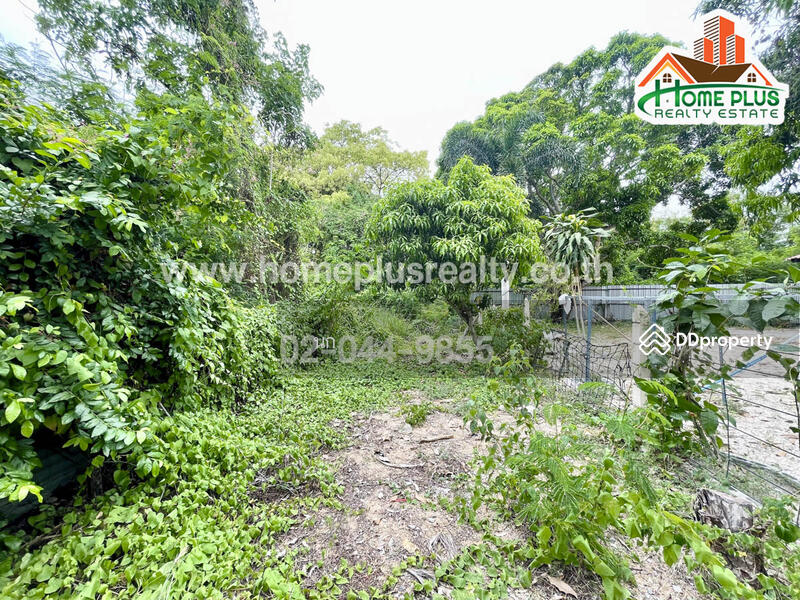 บ้านเดี่ยวชั้นเดียวซอยนาจอมเทียน26 สัตหีบ ชลบุรี (ใกล้โอเชียน มารีน่า ยอร์ช คลับ), ชลบุรี, นาจอมเทียน, สัตหีบ, ชลบุรี, 300 ตร.ม., บ้านเดี่ยว ขาย, โดย นก, 10860213 - DDproperty.com