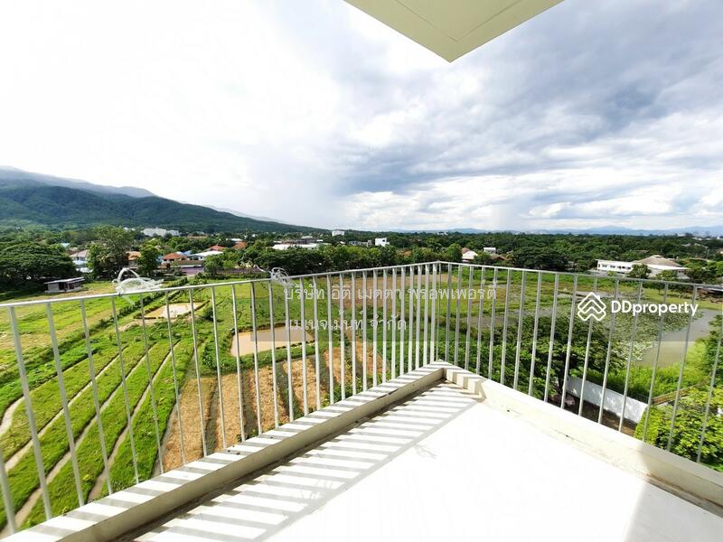 Serene Lake North 1, Chiang Mai, Somphot Chiang Mai 700 Pi Rd, Su Thep, Muang Chiang Mai, Chiang Mai, 1 Bedroom, 38 sqm, Condo For Rent, by Koi Yanawee, 10861226 - DDproperty.com
