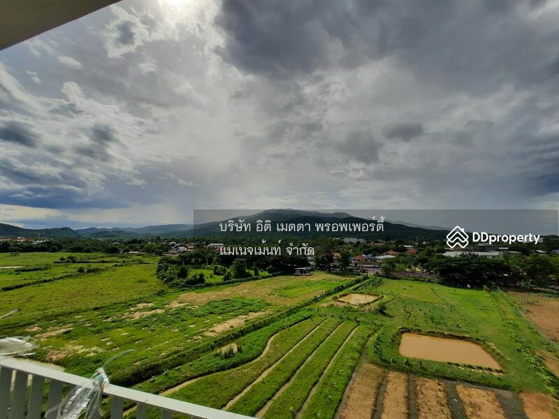 Serene Lake North 1, Chiang Mai, Somphot Chiang Mai 700 Pi Rd, Su Thep, Muang Chiang Mai, Chiang Mai, 1 Bedroom, 38 sqm, Condo For Rent, by Koi Yanawee, 10861226 - DDproperty.com