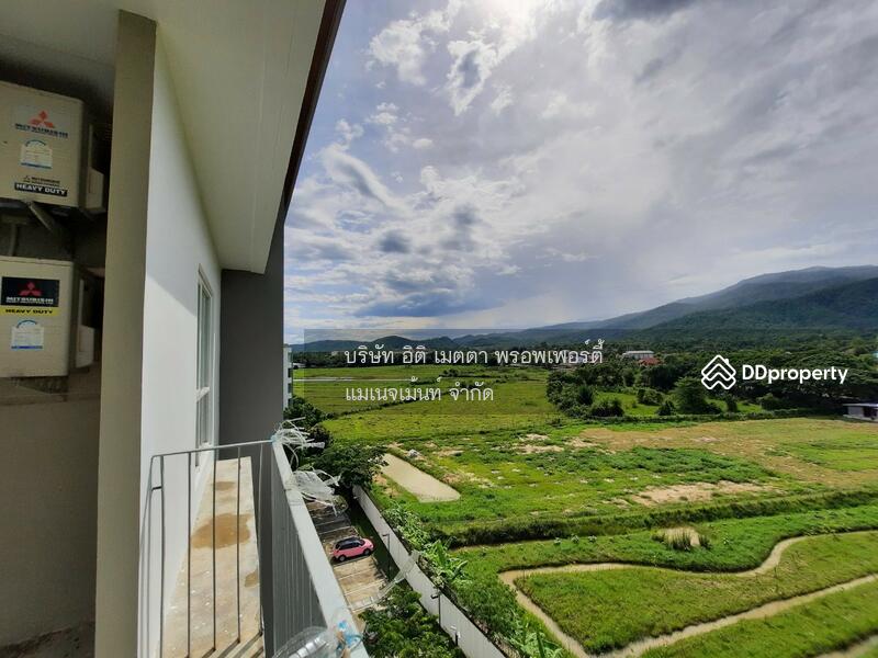 Serene Lake North 1, Chiang Mai, Somphot Chiang Mai 700 Pi Rd, Su Thep, Muang Chiang Mai, Chiang Mai, 1 Bedroom, 38 sqm, Condo For Rent, by Koi Yanawee, 10861226 - DDproperty.com