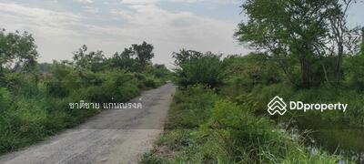 ขาย - บางปะกง ฉะเชิงเท, ฉะเชิงเทรา