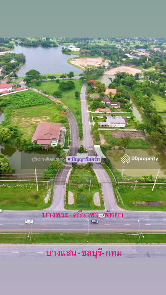 For Sale - Panta Resort Bangpra, Chon Buri