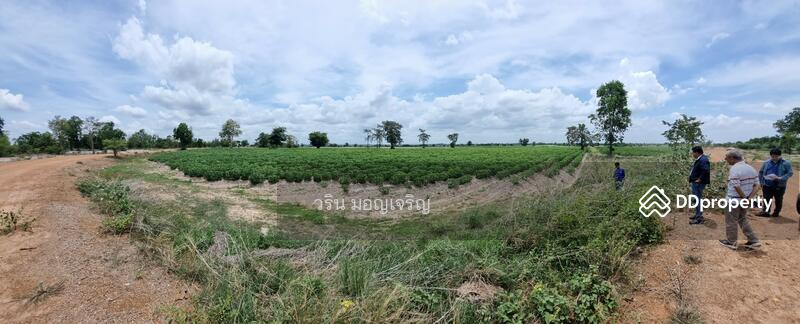 ที่ดิน 60 ไร่ ต.วังหมัน อ.วัดสิงห์ จ.ชัยนาท, Chai Nat, Wang Man, Wat Sing, Chai Nat, , 96,408 sqm, Land For Sale, by Warin Moncharoen, 10869140 - DDproperty.com