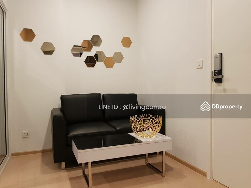 The Tree Sukhumvit 71-Ekamai, Bangkok, 1269 Sukhumvit 71 Road, Suan Luang, Bangkok, 1 Bedroom, 27 sqm, Condo For Rent, by LINE ID : @livingcondo, 10872972 - DDproperty.com
