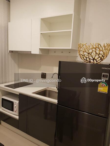 The Tree Sukhumvit 71-Ekamai, Bangkok, 1269 Sukhumvit 71 Road, Suan Luang, Bangkok, 1 Bedroom, 27 sqm, Condo For Rent, by LINE ID : @livingcondo, 10872972 - DDproperty.com