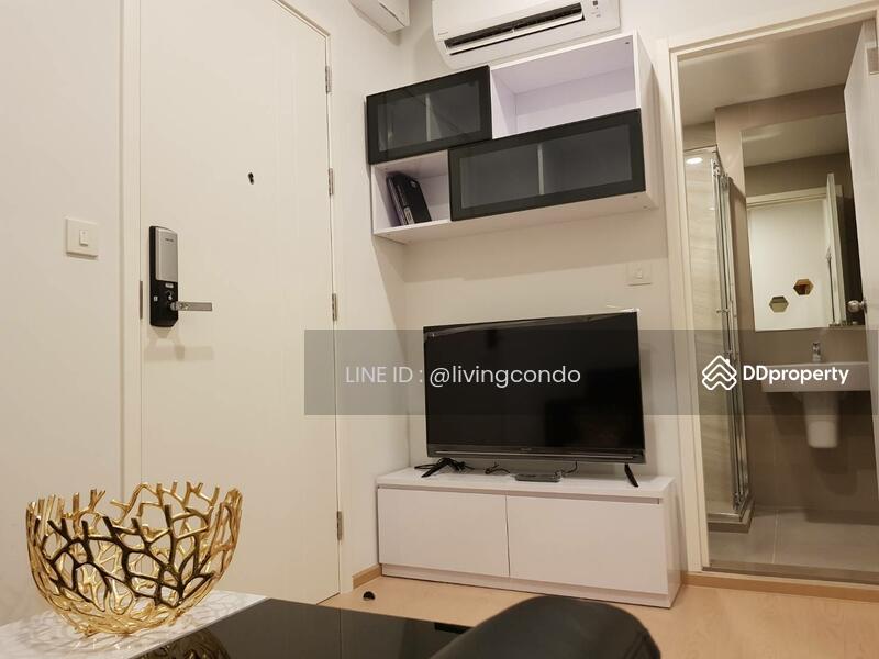 The Tree Sukhumvit 71-Ekamai, Bangkok, 1269 Sukhumvit 71 Road, Suan Luang, Bangkok, 1 Bedroom, 27 sqm, Condo For Rent, by LINE ID : @livingcondo, 10872972 - DDproperty.com