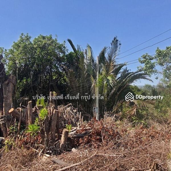 For Rent - Land 3-1-31 Rais, Samut Prakan