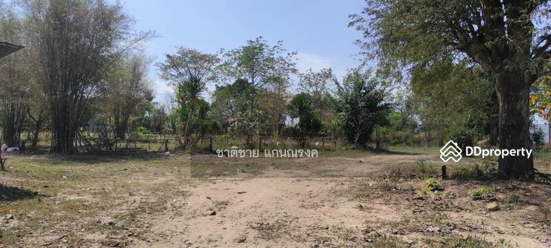 อุดร-หนองบัวลำภู ประมาณ กม.12, อุดรธานี, นิคมสงเคราะห์, เมืองอุดรธานี, อุดรธานี, 39,936 ตร.ม., ที่ดิน ขาย, โดย ชาติชาย แก่นณรงค์, 10874906 - DDproperty.com